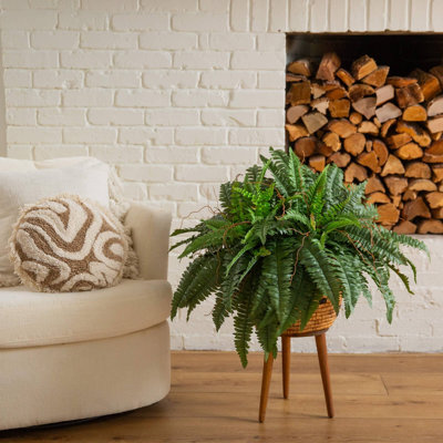 Boston Fern Artificial Plant