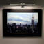 Hemmingway 1-Light LED Wall Picture Light-28790339