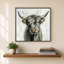 Vache Highland-276928945-276928947