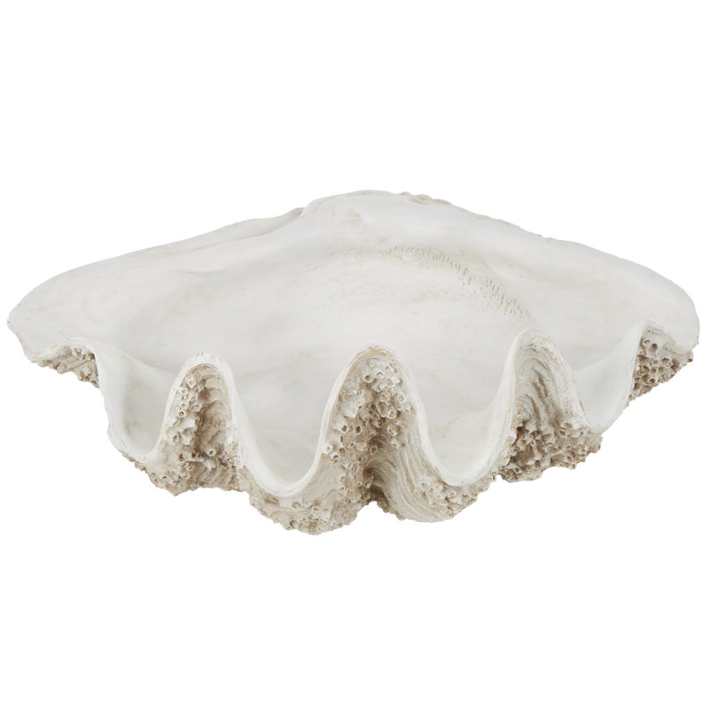 Cole And Grey Polystone Large Textured Shell Decorative White Sculpture