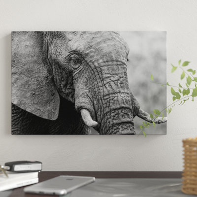 " Sleeping Elephant " by Anders Jorulf