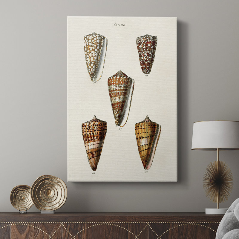 Collection Cone Shell II - galerie Cavas sur mesure, H 60 po x l 40 po