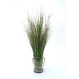 Herbe de feuillage de sol dans un pot de fleurs en verre