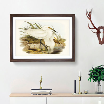 Spotless Egrets by Elizabeth Gould - Picture Frame Painting Print