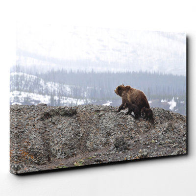Bear Wrapped Canvas Print