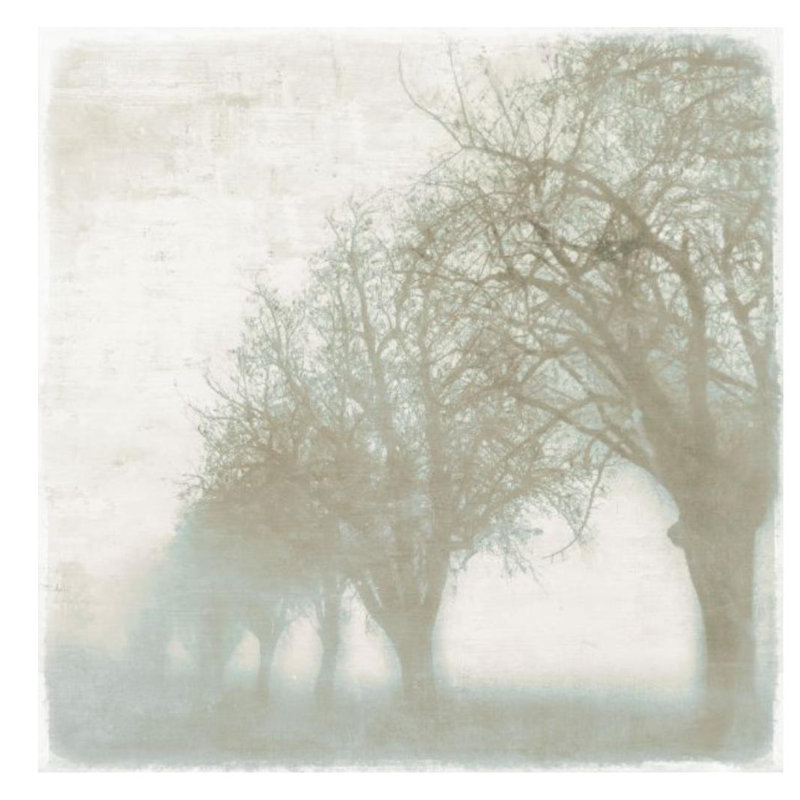 Mystic Morning III Print by Mari Urasawa, 30" H x 30" W x 1.5" D, Plexi
