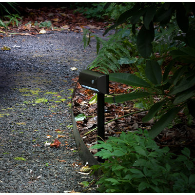 Matte Low Voltage Battery Powered Integrated LED Pathway Light