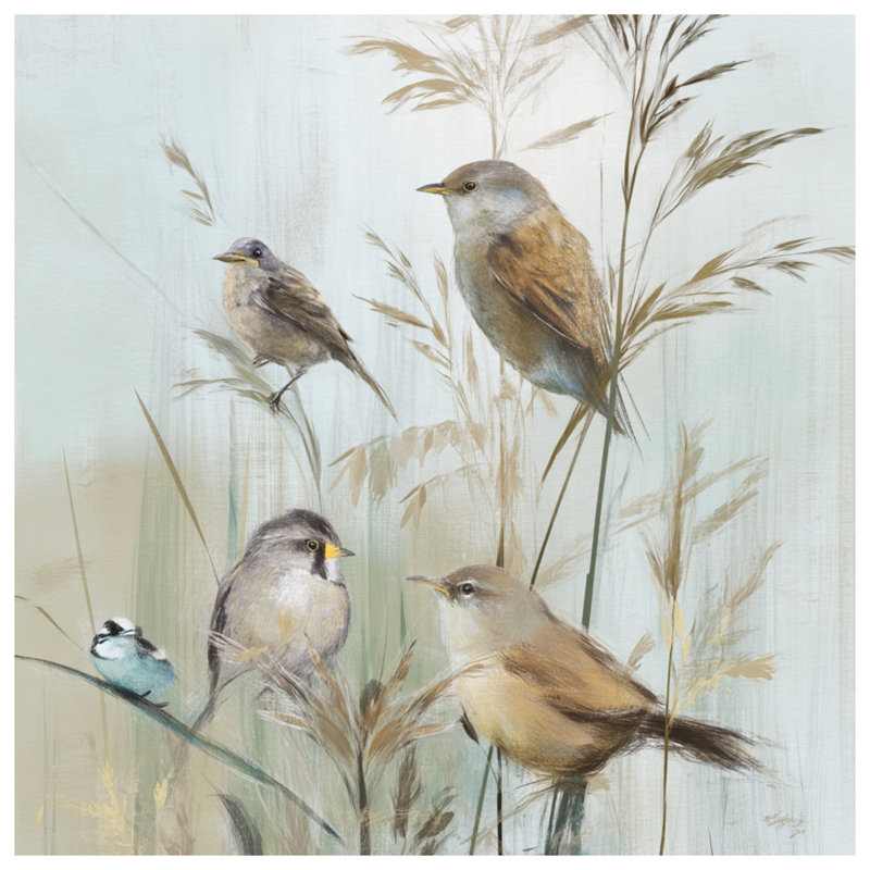 Rideaux de douche Birds On Grass, L 70 po x H 84 po