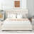 Eastampton Upholstered Storage Platform Bed-514530225