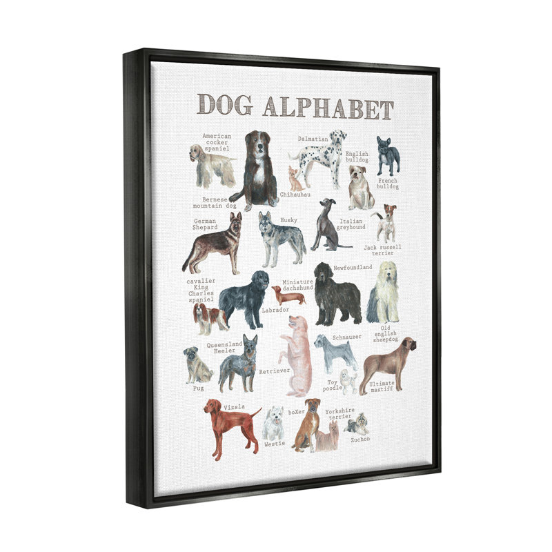 «Dog Alphabet Plusieurs Races», Cadre flottant noir de jais, H 21 po x l 17 po x P 1,7 po