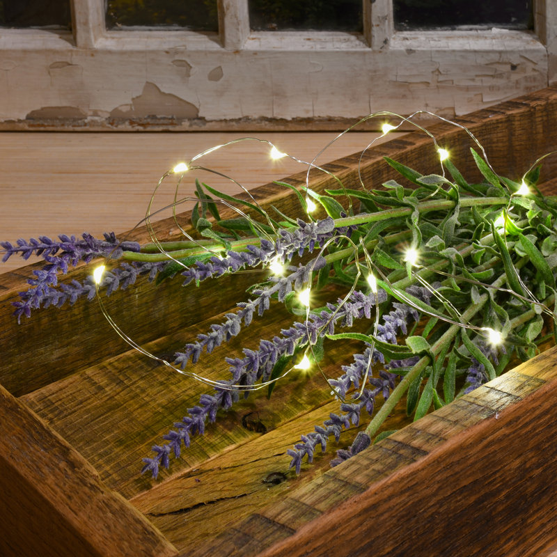 Lapidus Battery Operated LED Fairy String Lights - 3 Count, Warm White