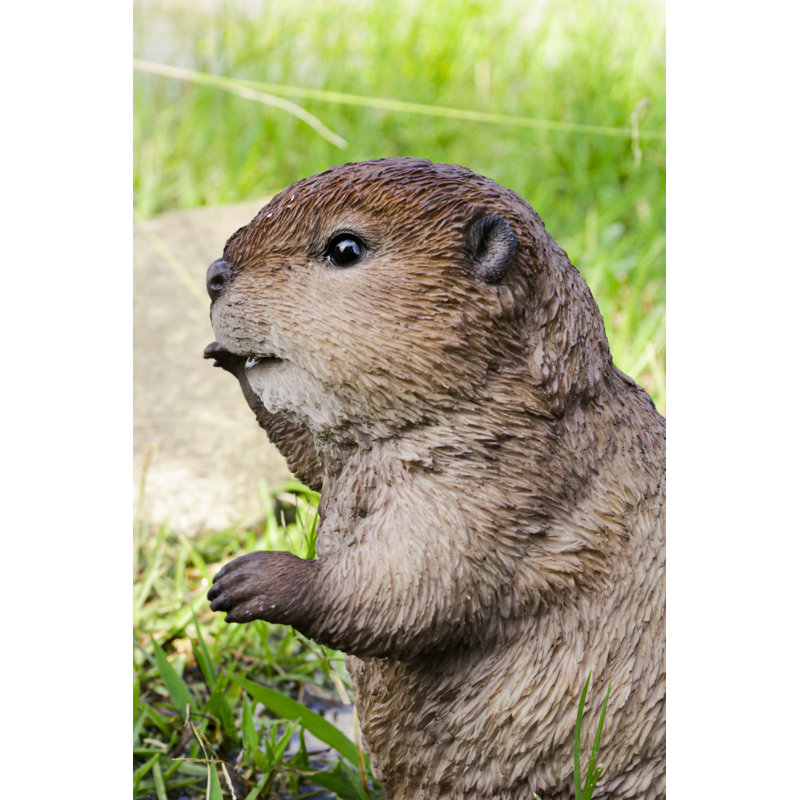 STATUE DE CUB AMERICAN BEAVER CUB