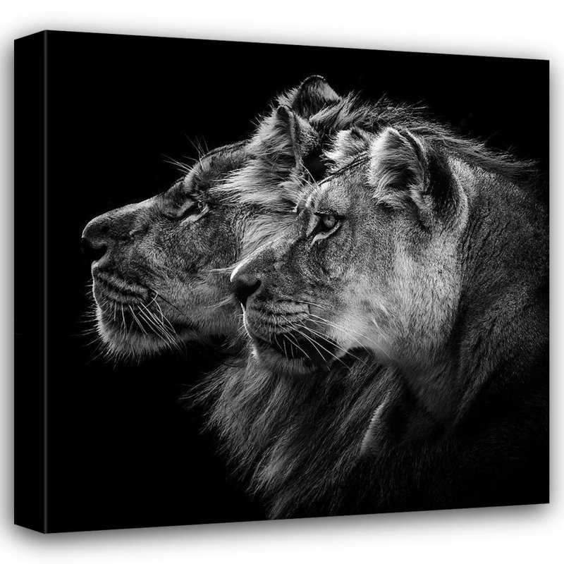 «Latitude Run® Lothar Dambreville, Laurent», art sur toile tendue sous le titre: Portrait d'un lion et d'une lionne