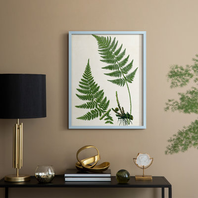 Impression encadrée Fern II - bois massif
