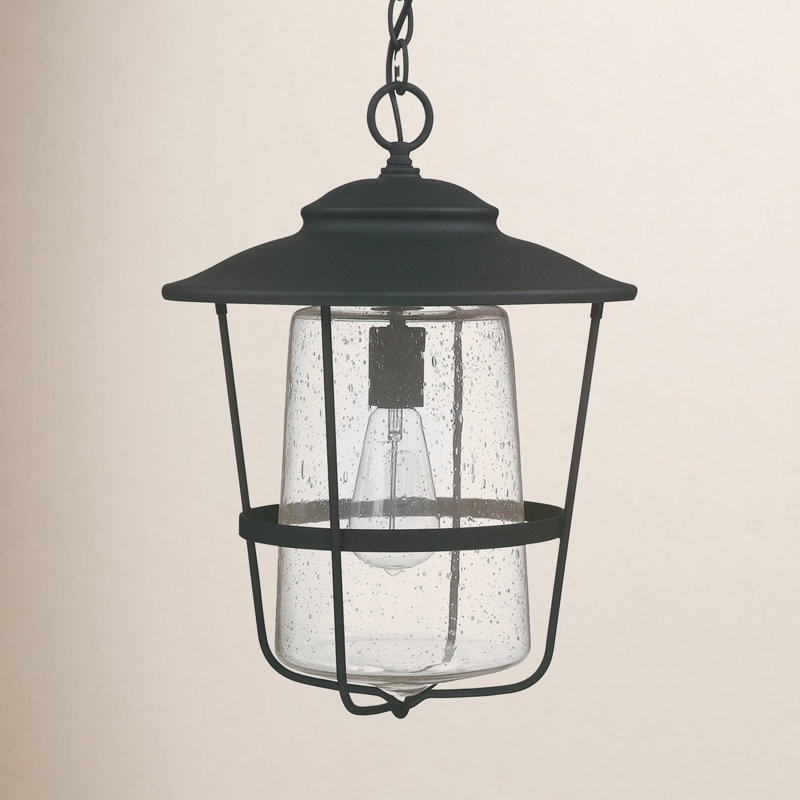 Tyler 1 - Light Outdoor Hanging Lantern, Black