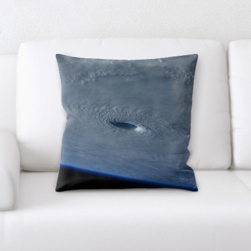 Coussin décoratif terre