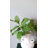 Hydrangea Leaf Faux Foliage 20"