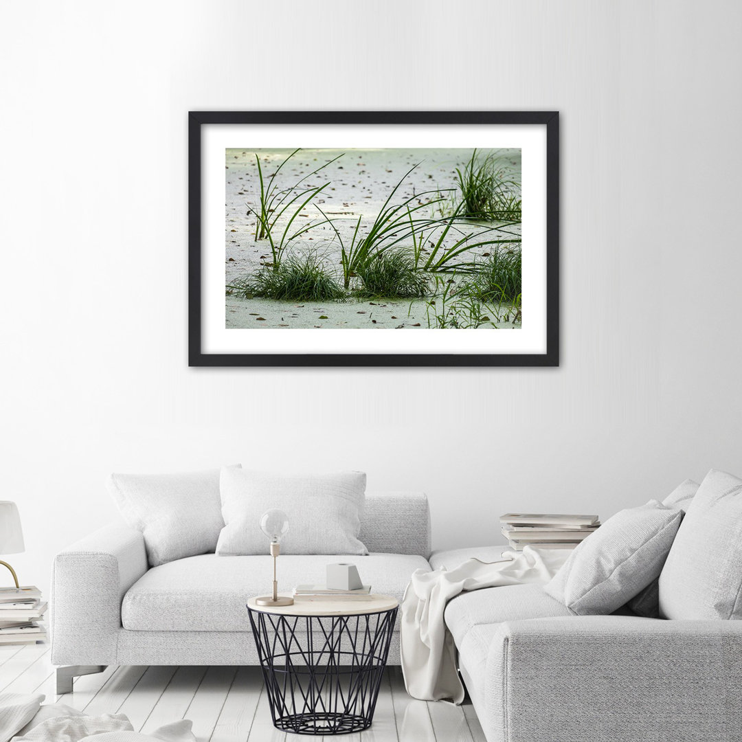 Gerahmtes Poster Grasses On The Beach