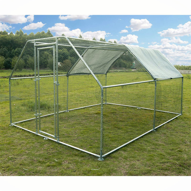 Poulailler avec treillis métallique 130 pi² Crisinda, H 6,5 po x l 81,16 po x P 13,6 po