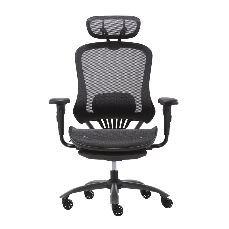 Inbox Zero Gundell Mesh Executive Chair with Headrest