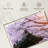 Harnek Blossoming Sakura Tree-107685003