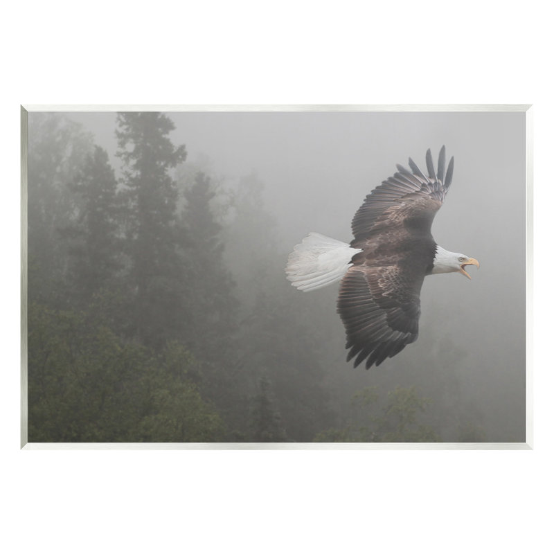 " Soaring Eagle In Nature ", 13" H x 19" W x 0.5" D