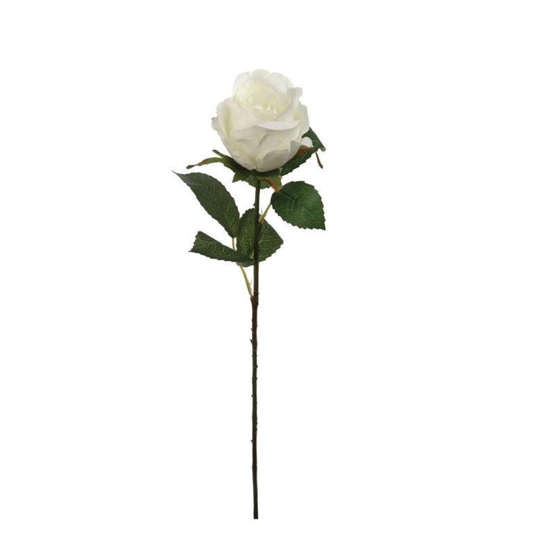 Tige rose 20 po - paquet de 12, Champagne