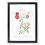 Red Roses by Pierre-Joseph Redoute - Picture Frame Painting Print-55598613-55598611