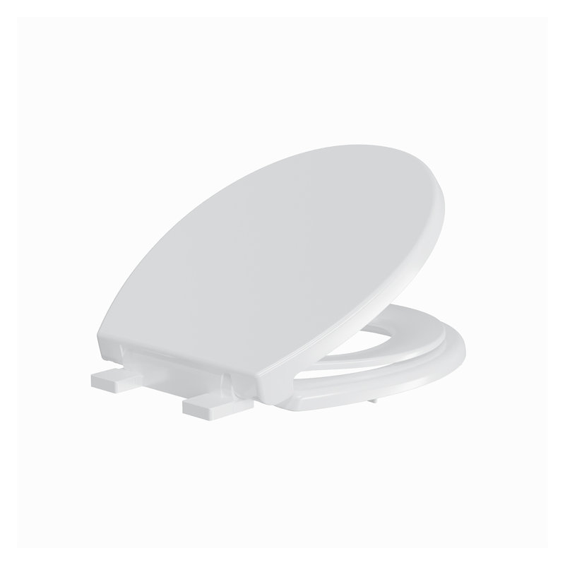 Toilet Seat