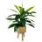 Callender 17.50" Artificial Dracaena Plant in Basket-41255500