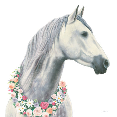 Spirit Stallion I by James Wiens - No Frame Painting on Canvas