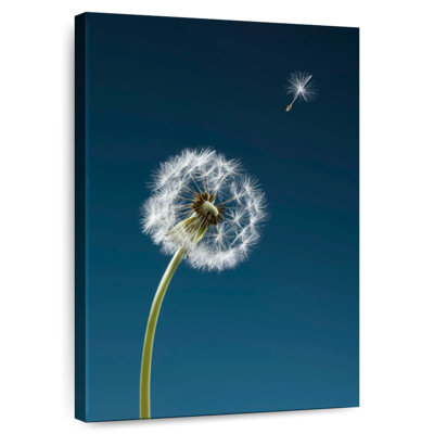 Harnek One Dandelion Seed