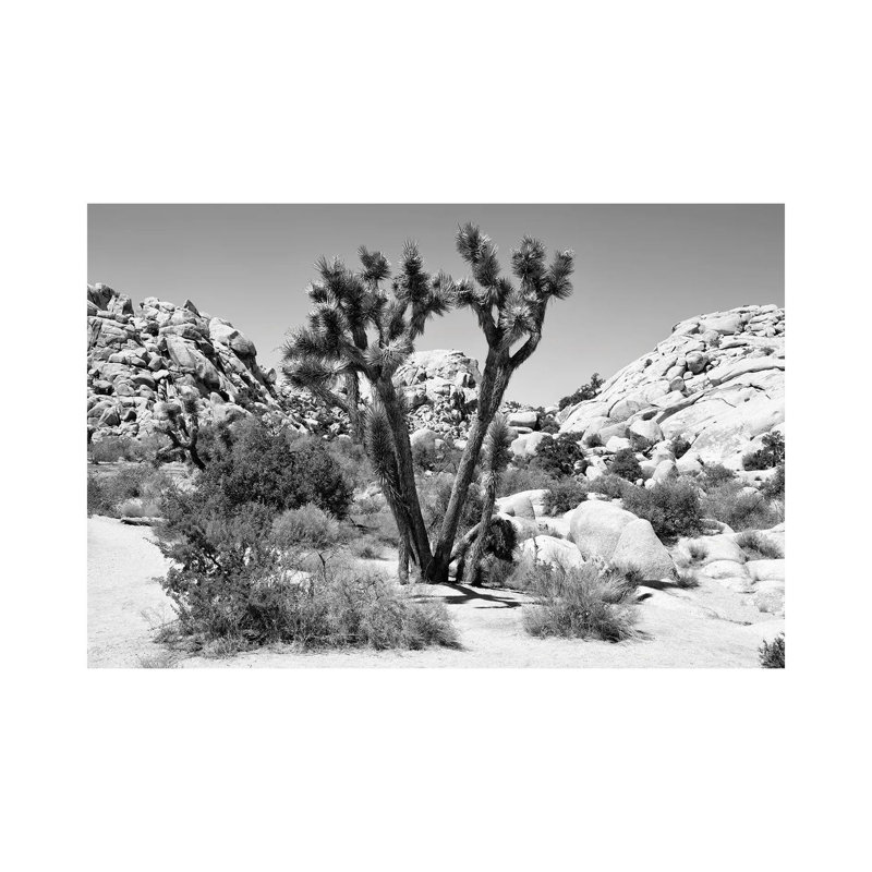 Joshua Tree II by Philippe Hugonnard - Wrapped Canvas Print, 66.04 cm H x 45.72 cm W x 3.175 cm D