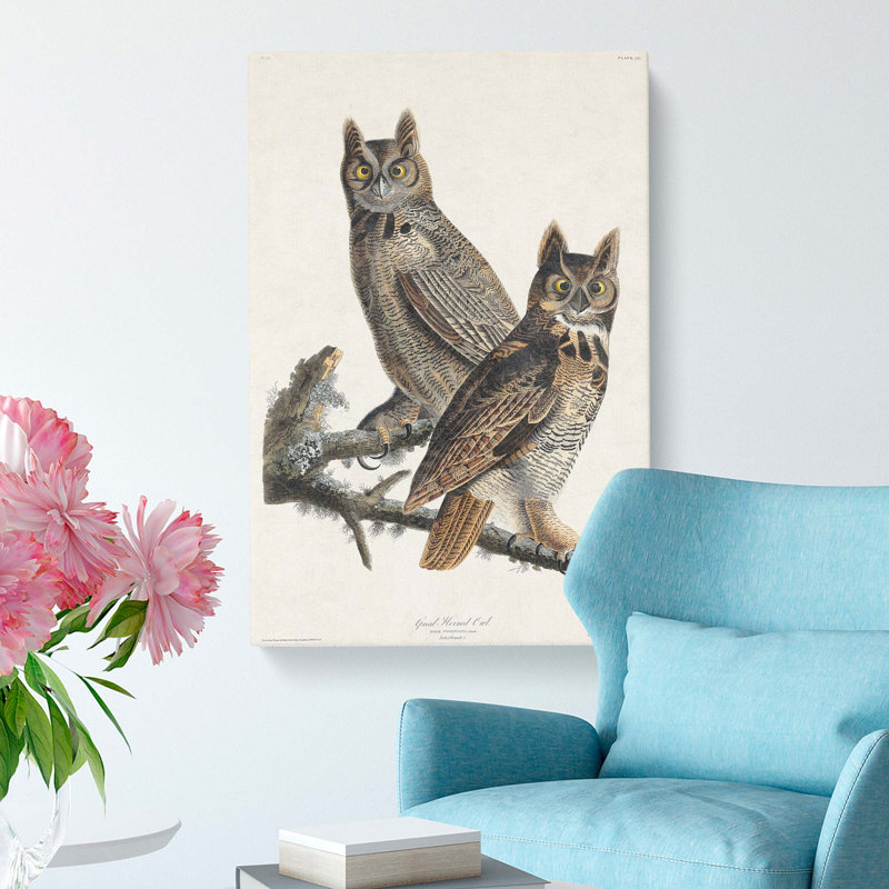Great Horned Owls by John Audubon - Wrapped Canvas, 50cm H x 35cm W x 3cm D