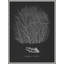 Briny Deep 1 Print by Art House Studios-70502219