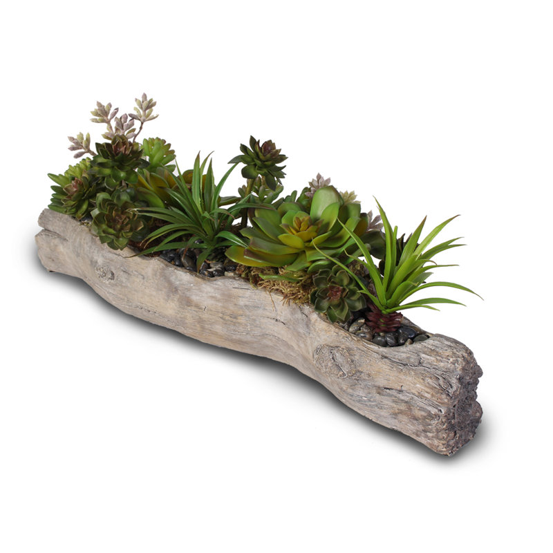 Faux Succulent Plant in Cement Pot