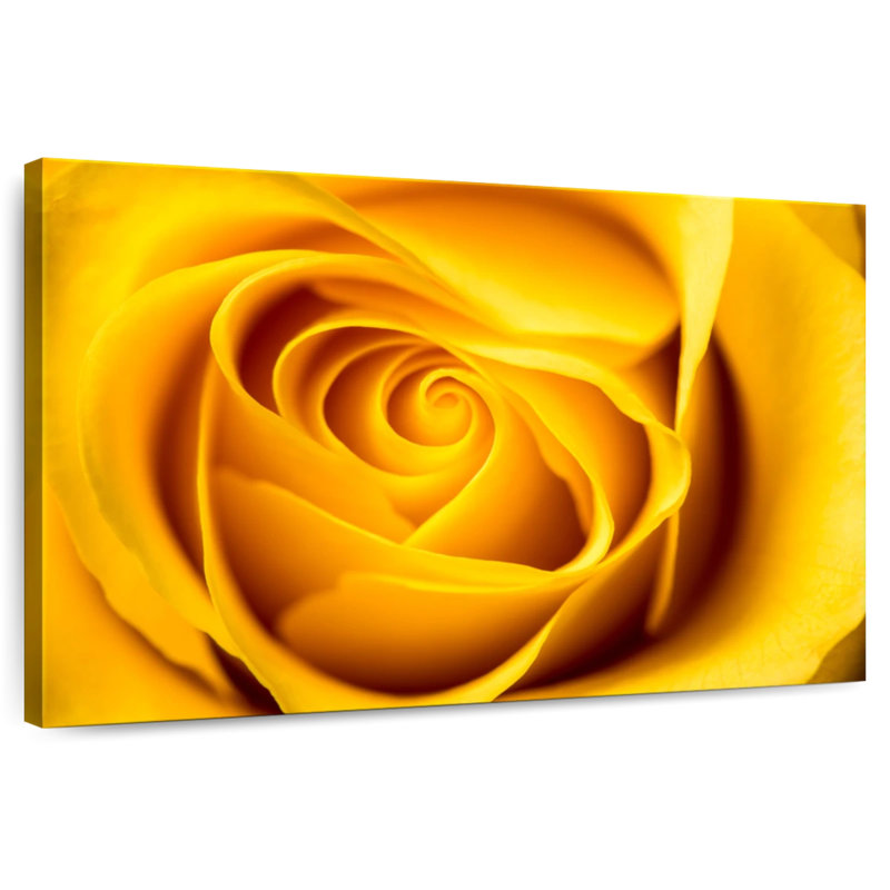 Harnek Blossoming Yellow Rose