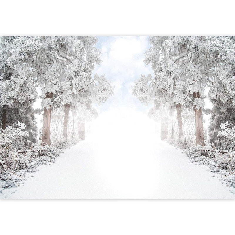 Adhésif mural chemin d'hiver à travers les arbres de la forêt, L 96 po x l 66 po