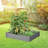 Srihaas Planter Box