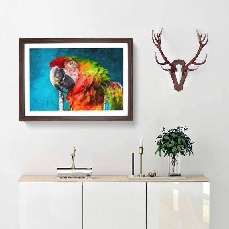 Rainbow Macaw Parrot - Framed Print, 33cm H x 45cm W x 2cm D, Walnut Framed