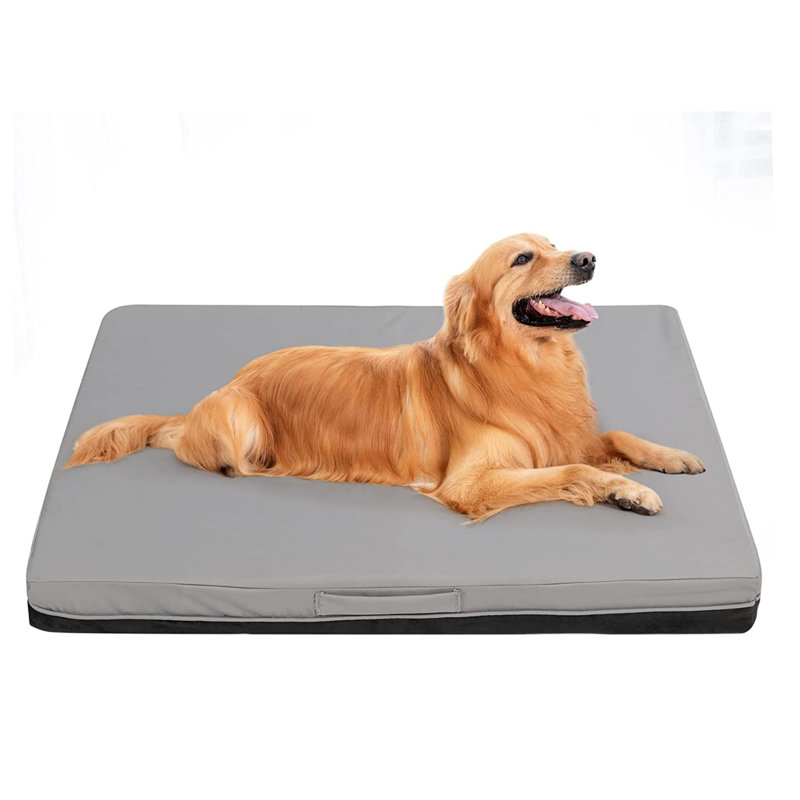 Tapis de lit pour chien en mousse à mémoire de forme Jumbo, Très grand (l 36,2 po x P 27,2 po x H 3,4 po)