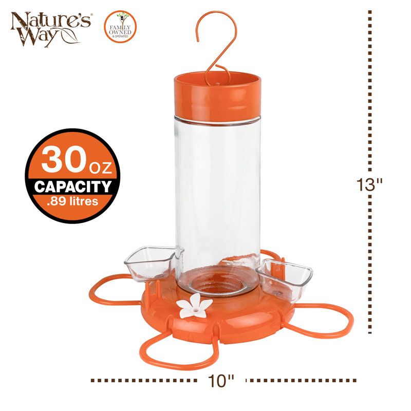 Mangeoire orange à fleurs d'oranger avec accessoires pour gelée