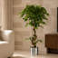 Faux Tree Plant in Plastic Pot Liner-138492391-138492394