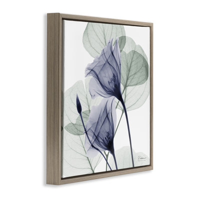 Cadre flottant Serene Tulips & Herbs, design par Albert Koetsier