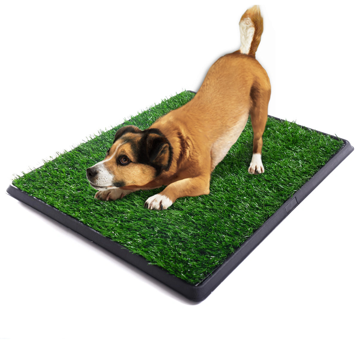 Tucker Murphy Pet™ 20X25 Inches Artificial Grass Rug Turf For Dogs