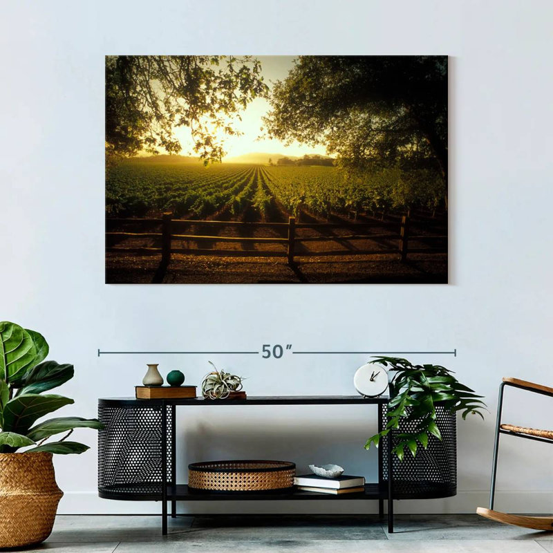 Alvord Oakville Vineyard, H 32 po x l 48 po