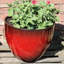 Einar Pot Planter-408628607-408628600