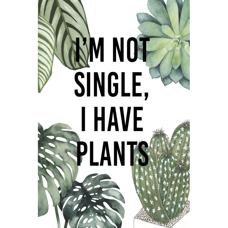 Plant Love V by Studio W - Wrapped Canvas Print, 46cm H x 30cm W