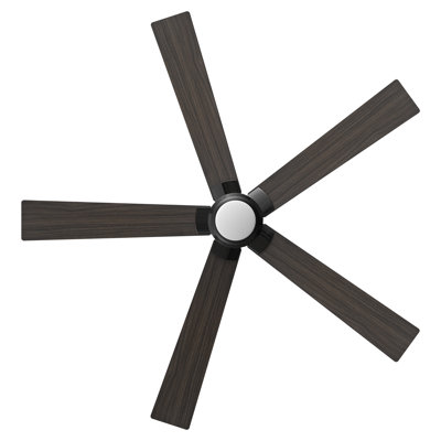 60'' Ceiling Fan with LED Lights