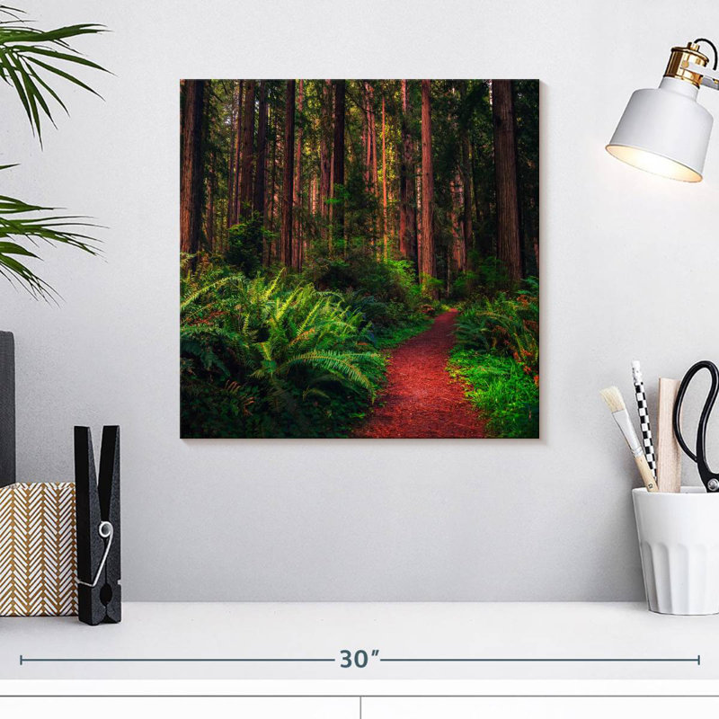 Alvord Redwood Forest Trail, H 16 po x l 16 po